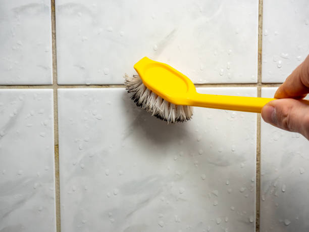 Best Mold Damage Repair  in Franklinton, NC