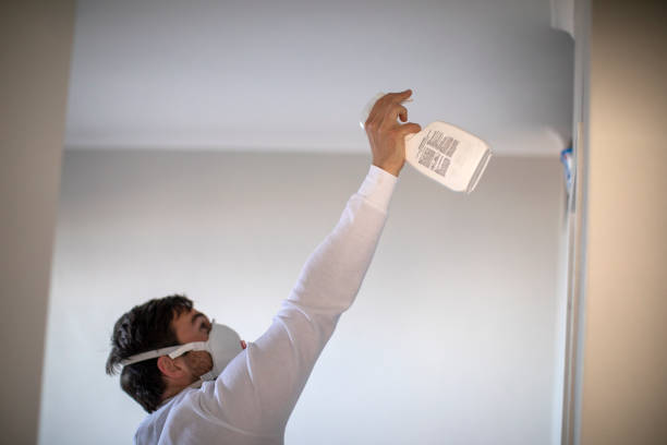 Best Commercial Mold Removal  in Franklinton, NC