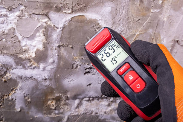 Best Commercial Mold Removal  in Franklinton, NC