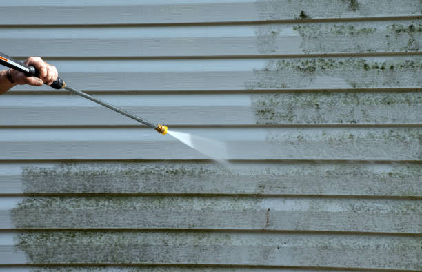 Mold Removal Process in Franklinton, NC