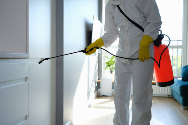 Best Mold Remediation  in Franklinton, NC